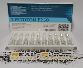Testozon E250 (Horizon) С.Г. 10/24