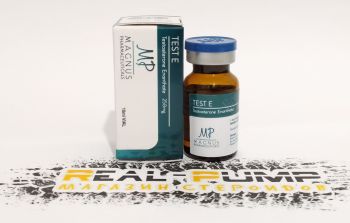 Test E (Magnus)