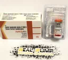 ZyHCG 5000iu (Индия)