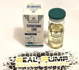 Testosterone E300 (Novagen)