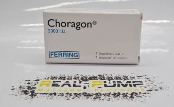Choragon 5000 (Apteka)