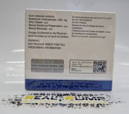 Boldenone Undecylenate (ZPHC) - 1мл