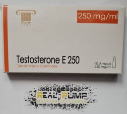Testosterone E250 (Olymp)