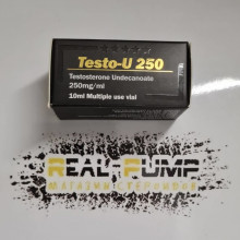 Testo U (Vertex)