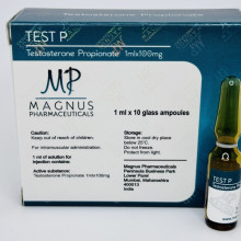 Test P (Magnus)