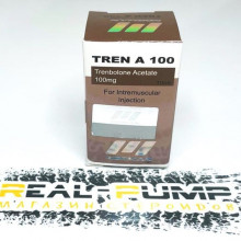 Tren A100 (Norman)